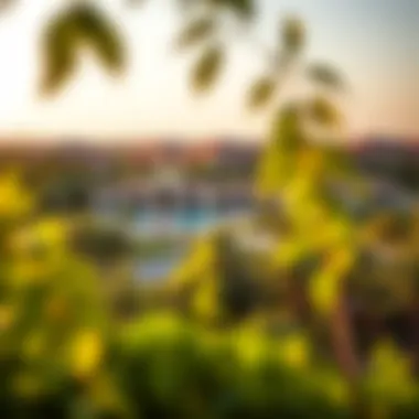 Scenic Surroundings of Al Forsan Khalifa Resort Breathtaking landscape surrounding the resort with lush greenery