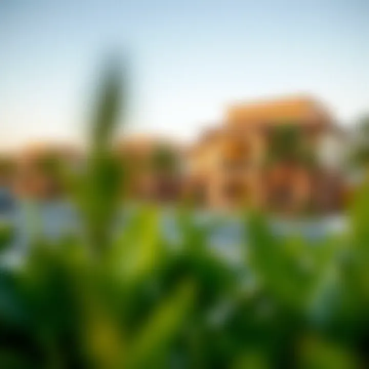 Investment Potential in Al Waha Investment opportunities in Al Waha Dubai