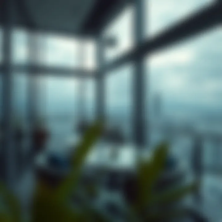 Breathtaking view from Ascot Residences balcony