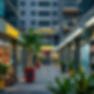 Local amenities within walking distance from studio flats