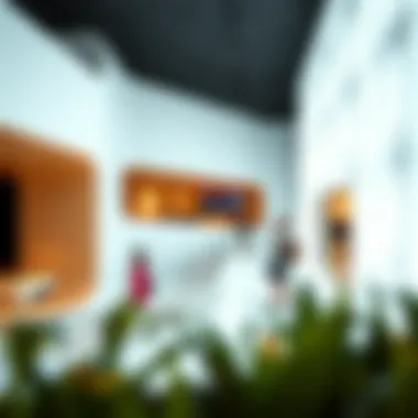 Visitors exploring the Dubai Design Museum