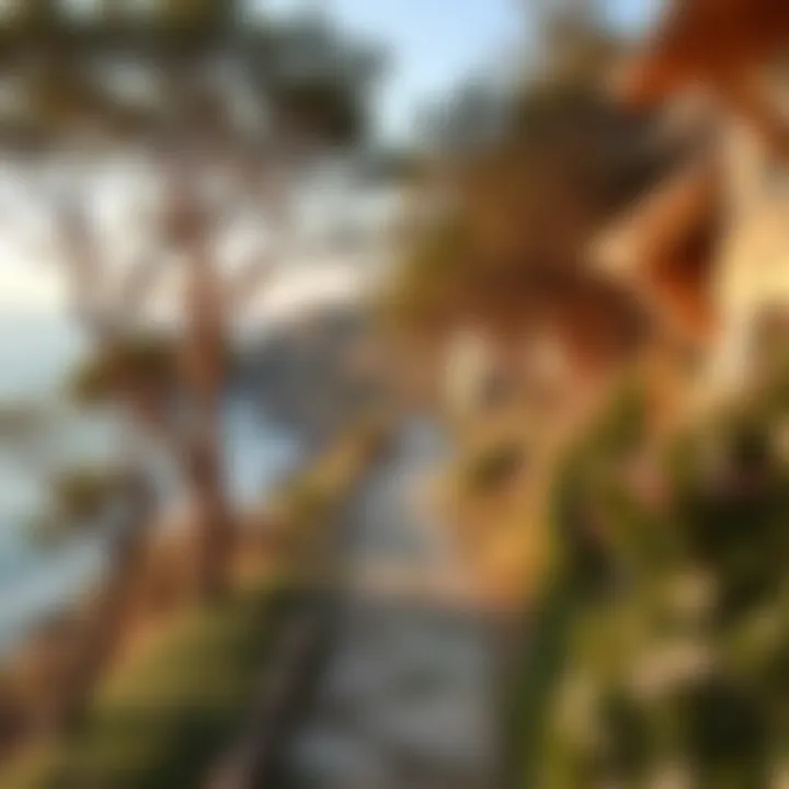 A winding coastal path leading to a hidden beach