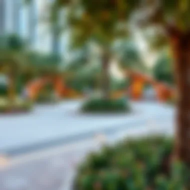 Family-friendly park in the heart of Novo Dubai