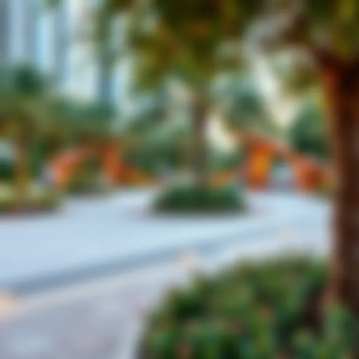 Family-friendly park in the heart of Novo Dubai