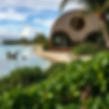 Nature's Beauty on a Remote Island Exotic wildlife and natural beauty on a remote private island