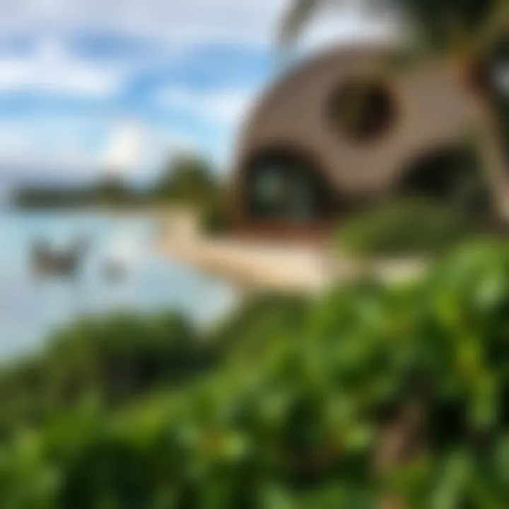 Nature's Beauty on a Remote Island Exotic wildlife and natural beauty on a remote private island