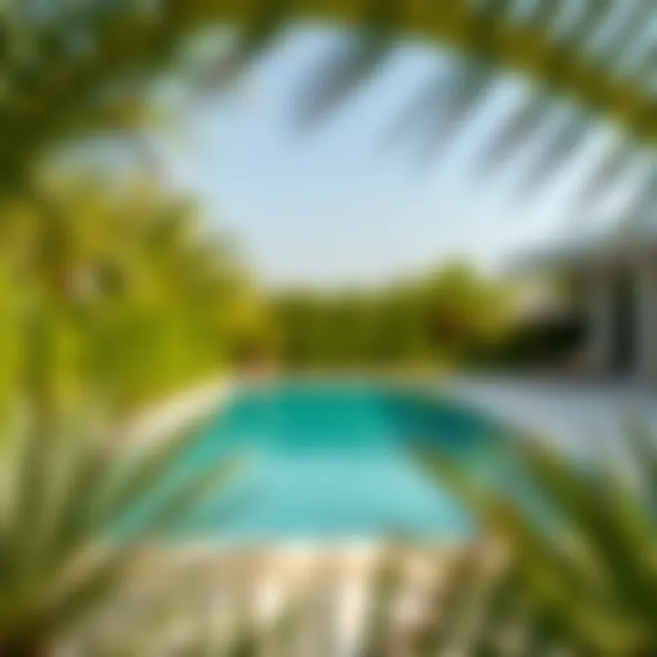 Serene Private Pool Surrounded by Lush Greenery A serene setting of a private pool surrounded by greenery