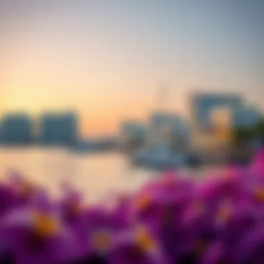 Waterfront Living on Reem Island Luxurious waterfront properties on Reem Island