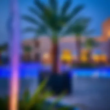 Amenities in Discovery Gardens Community amenities in Discovery Gardens