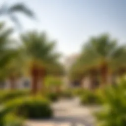 Lush palm trees in the Al Ain oasis showcasing biodiversity