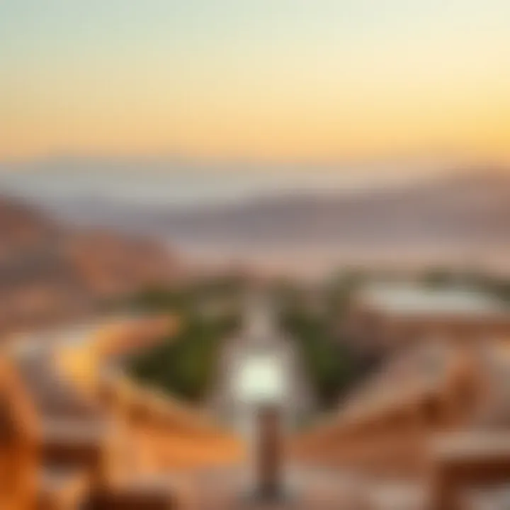 A panoramic view of the Al Ain oasis framed by the surrounding mountains