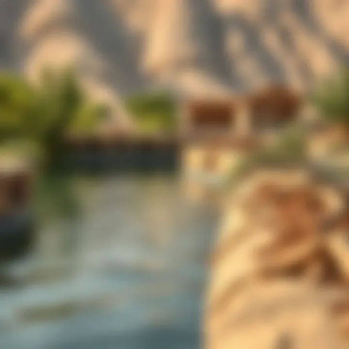 Traditional irrigation system in Al Ain, illustrating ancient agricultural practices