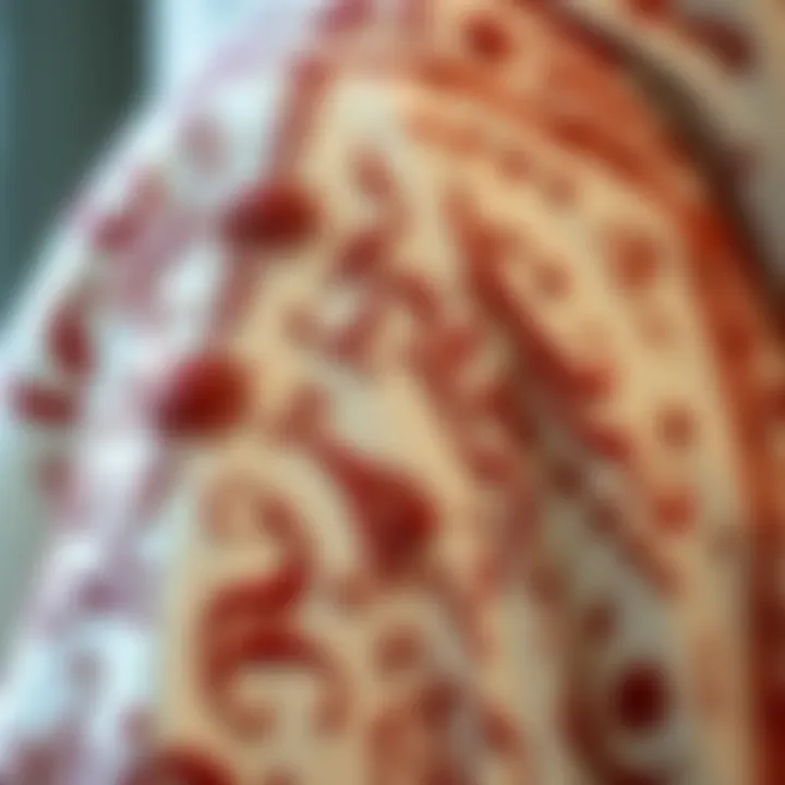 Intricate Embroidery of UAE Garments Close-up of intricate embroidery on UAE traditional garments