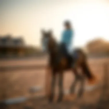 A serene moment of bonding between a rider and a horse