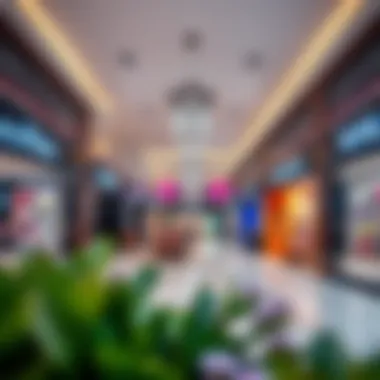 Vibrant retail spaces reflecting consumer engagement and trends