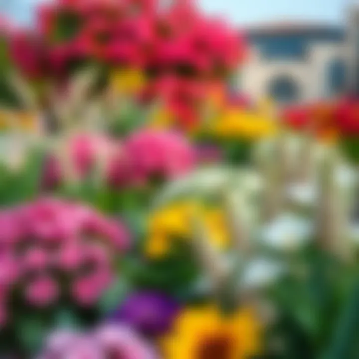 Vibrant floral display at Miracle Garden
