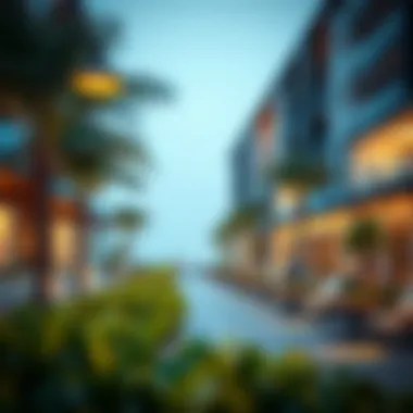 Vibrant community spaces and recreational areas on Nareel Island