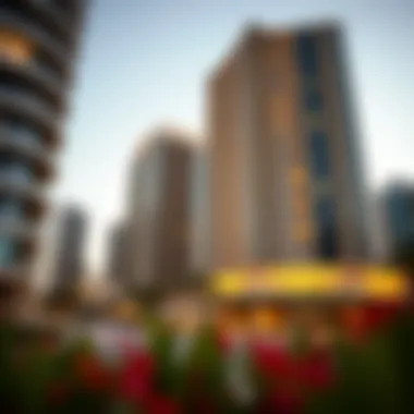 Modern architectural structures within Naya District